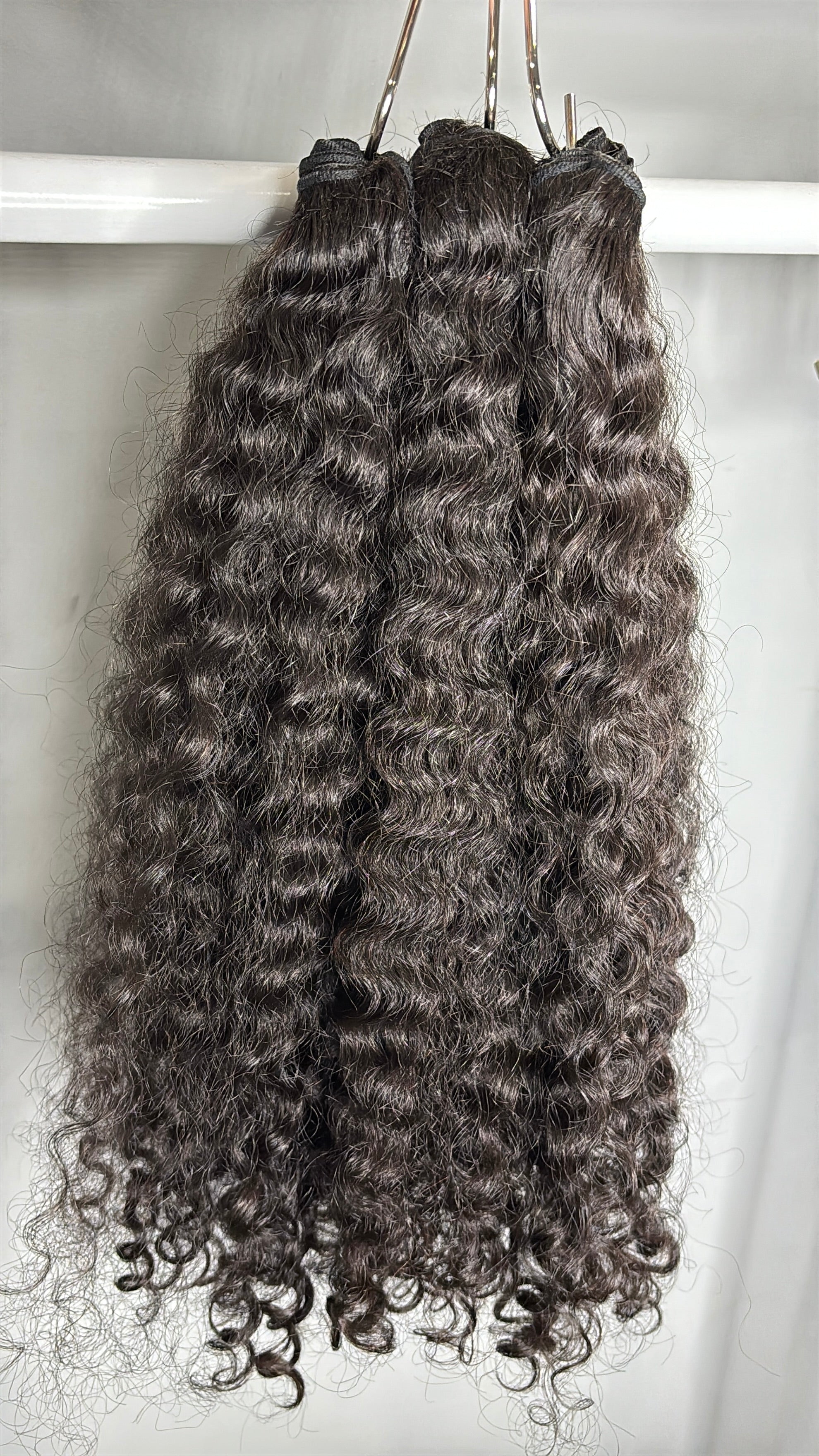 Burmese Curly